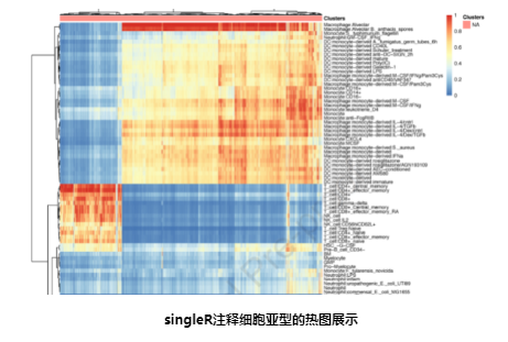 16214042391866.png image.png