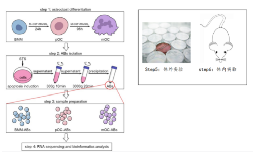 16214054041768.png image.png