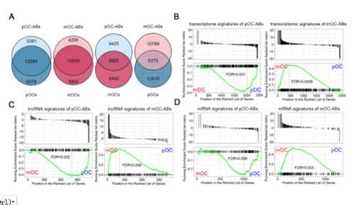 16214055184498.png image.png