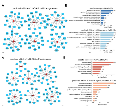 16214055587213.png image.png