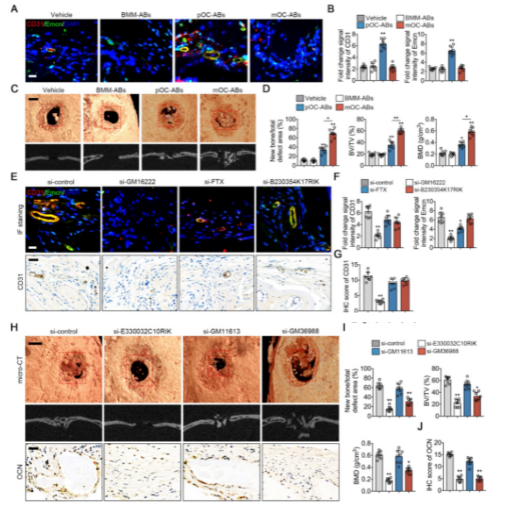 16214055985124.png image.png