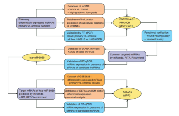 16214060375166.png image.png