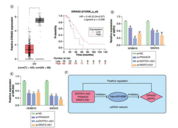 16214061703029.png image.png