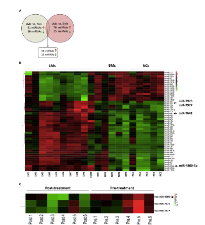 16214064366779.png image.png