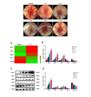 16214064932585.png image.png