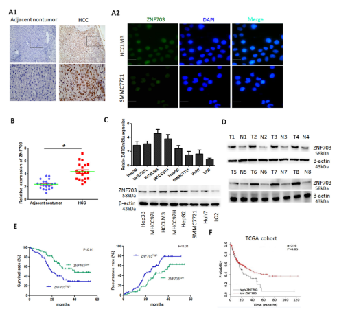 16214067096577.png image.png