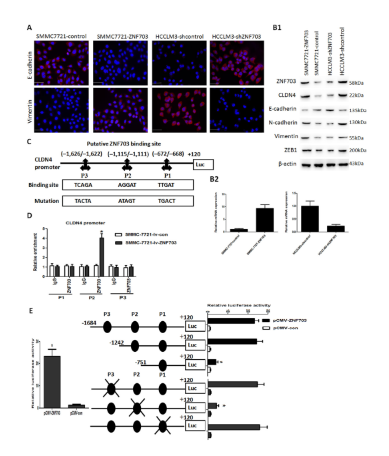 16214067543683.png image.png