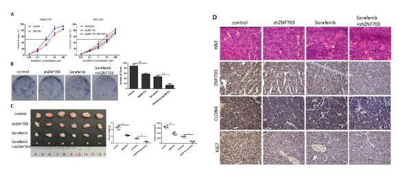 16214068387054.png image.png