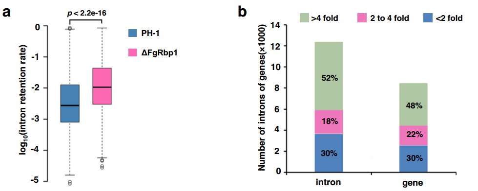 16221874708318.png 16221874708318.png