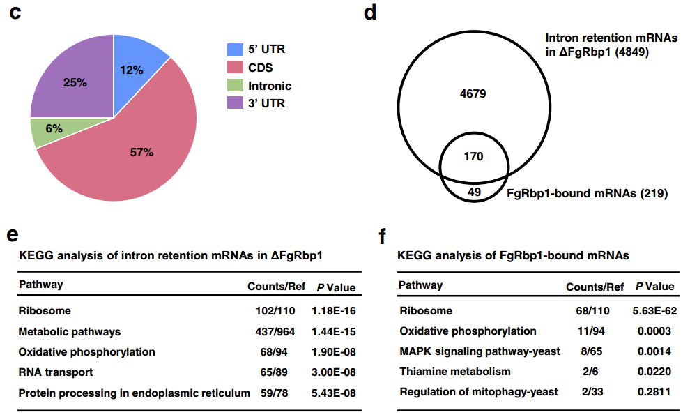 16221875812070.png 16221875812070.png