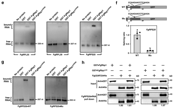 16221876536013.png 6.png