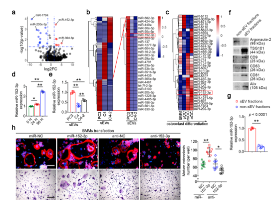 16273670237250.png 1627367019(1).png