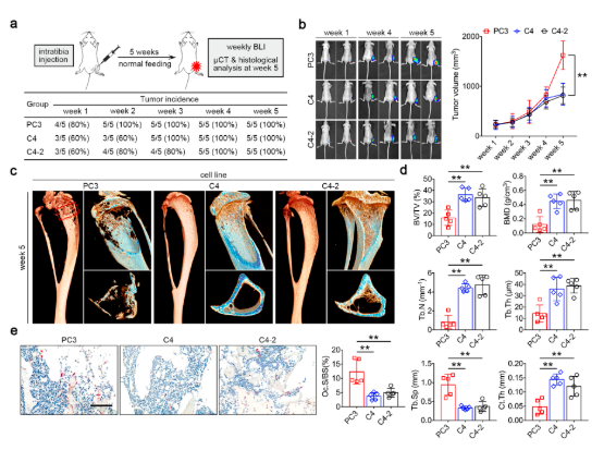 16273670622132.png 1627367058(1).png