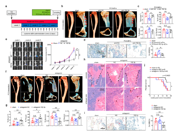 16273670888773.png 1627367085(1).png