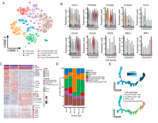 16294226301440.png 1629422629(1).png