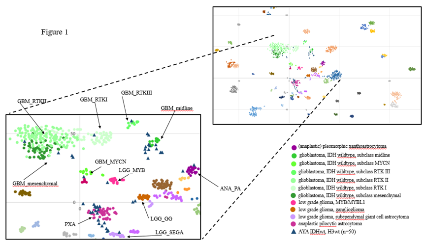 16499024036806.png 11.png