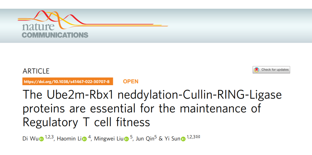 16570772288448.png 21.png