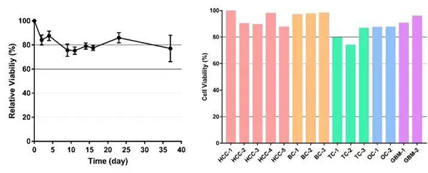 15529861666479.jpg 未标题-5.jpg