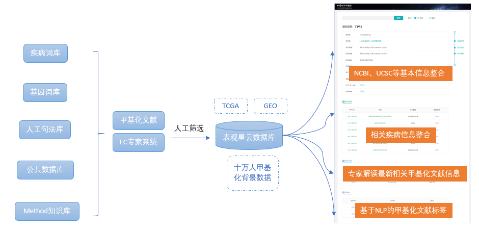 15275856286117.png 8.png