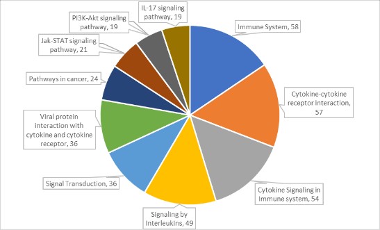 16209072635181.jpg 2.jpg
