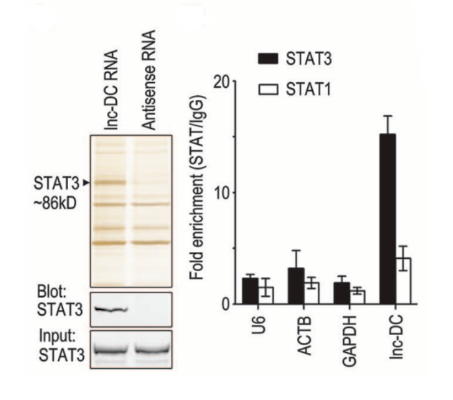 16213990521205.png 16213990521205.png