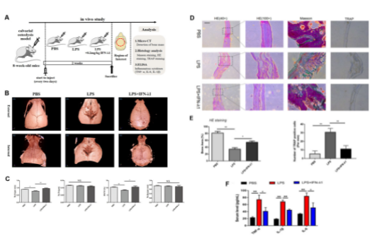 16214062877323.png image.png