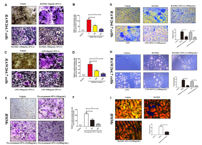 16214063167771.png image.png