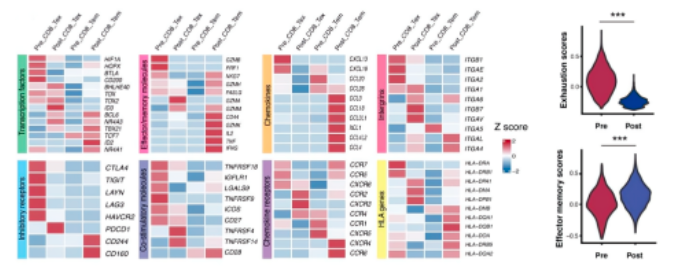 16860345302580.png 1686034547811.png