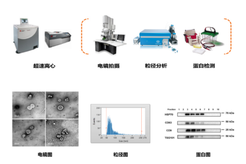 16980272322343.png be2415b11e651b590ee68a359ac72c1.png