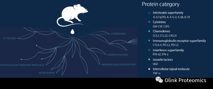 17110093253177.png 3.png