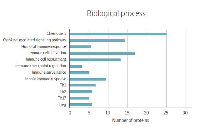 17110097666117.png 7.png