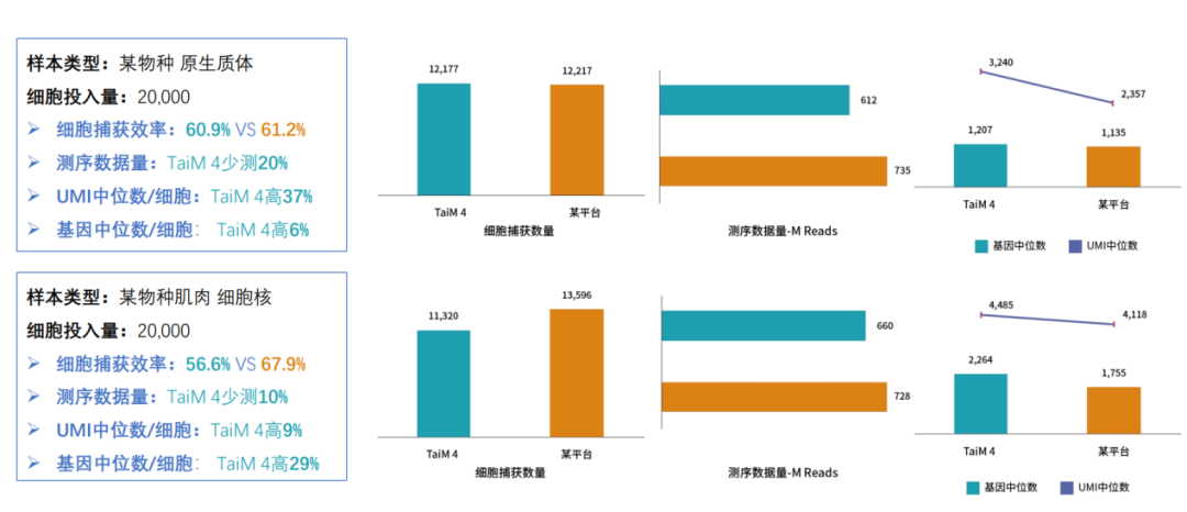 17363193049623.png 3.png